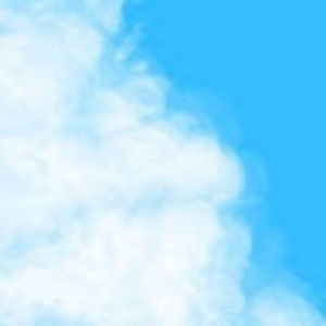 Meet your Posher, Daisy